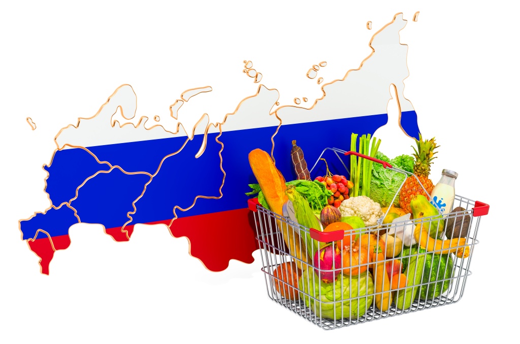 Крупнейшие отраслевые организации выступили против законопроекта о «российской полке»