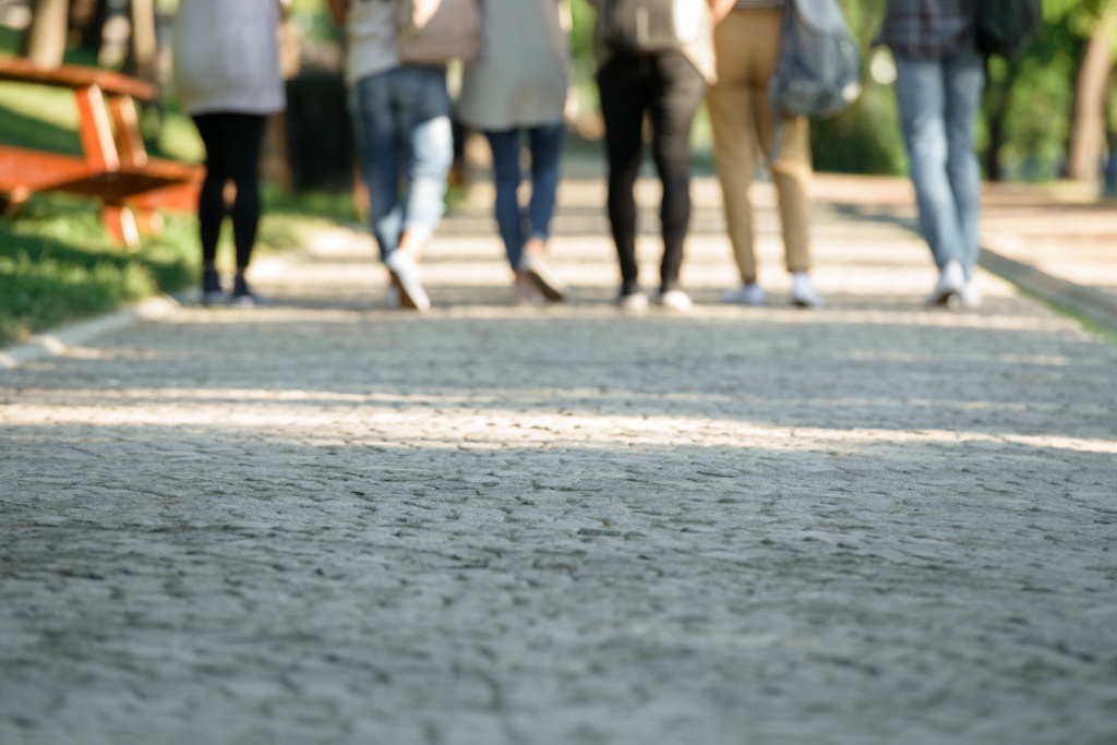 В Приангарье студенты аграрных учебных заведений начали проходить оплачиваемую практику