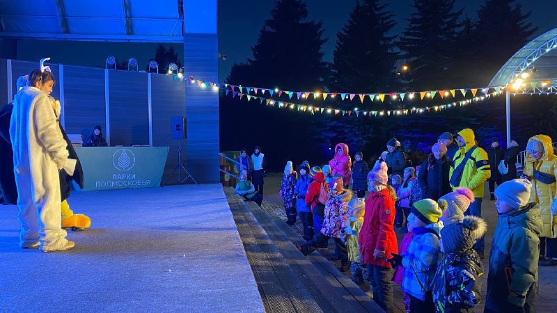 В Домодедово отметили день рождения Деда Мороза