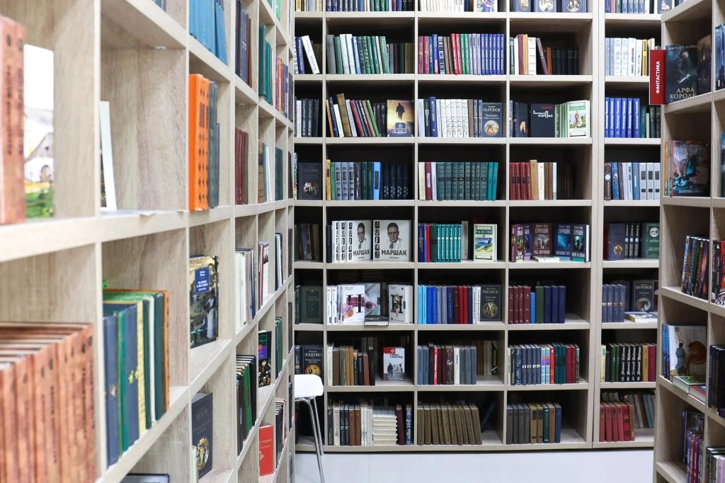 «Не просто хранилище книг»: в Воронеже открылась модельная библиотека №5 — пространство для творчества, экологии и семейного досуга
