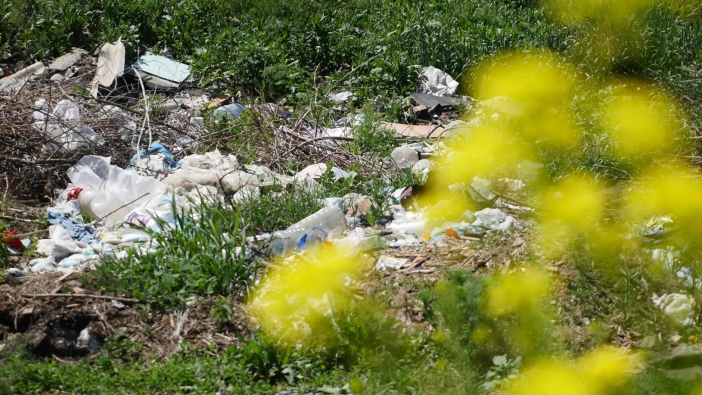 Росприроднадзор требует, чтобы АО "СЗ "Домостроительный комбинат" возместило ущерб почвам почти на 3 миллиона рублей