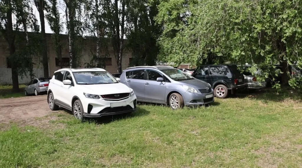Мэр Воронежа рассказал о борьбе с парковкой на газонах: более 2 000 постановлений с начала года и планы по озеленению почти 5 га территорий Мэр Воронежа рассказал о борьбе с парковкой на газонах: более 2 000 постановлений с начала года и планы по озеленению почти 5 га территорий